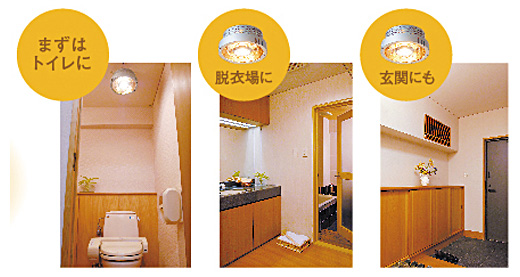 �܂��̓g�C����